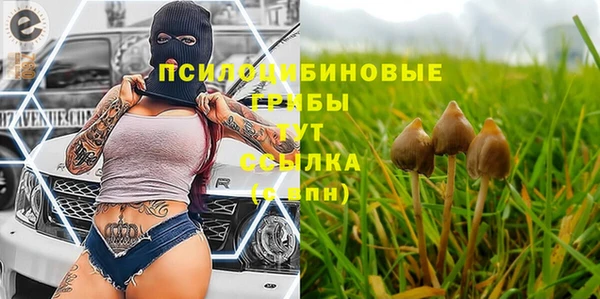 дурь Алексин