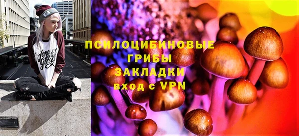 дурь Алексин