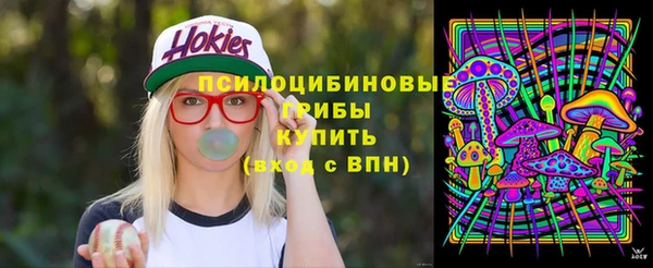 дурь Алексин