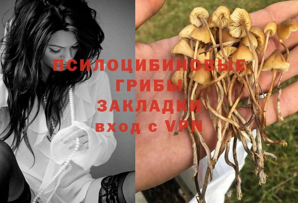 дурь Алексин