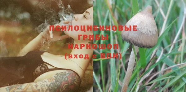 дурь Алексин