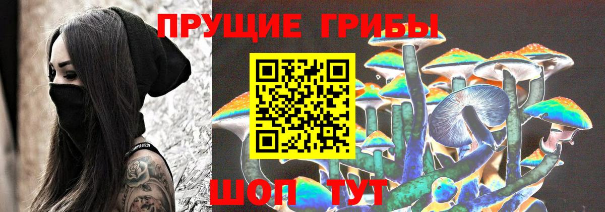 Галлюциногенные грибы Cubensis  магазин продажи   Вход с VPN  Заинск  Галлюциногенные грибы MAGIC MUSHROOMS 